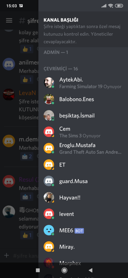 Screenshot_2020-02-03-15-03-14-299_com.discord.png